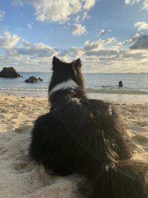 沖縄最後の海