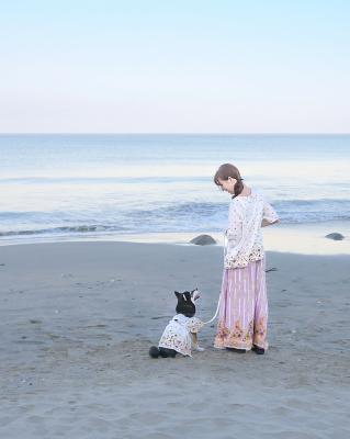 夕方の海
