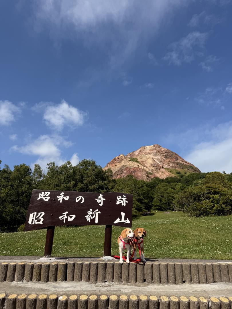 昭和新山