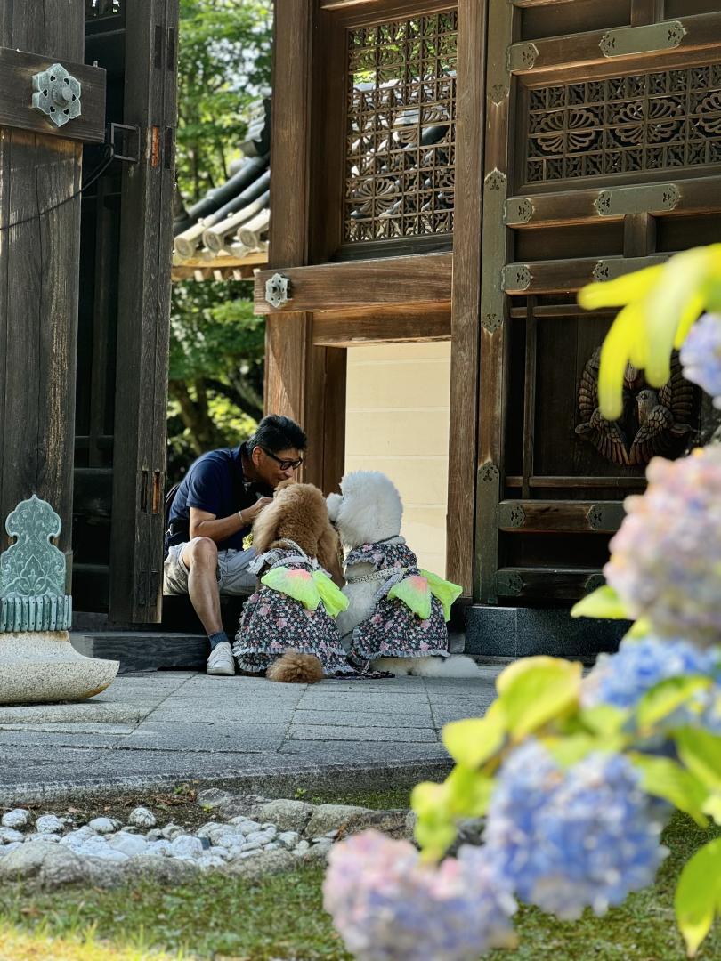 パパとお寺さんへ
