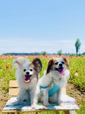 あっちぃ