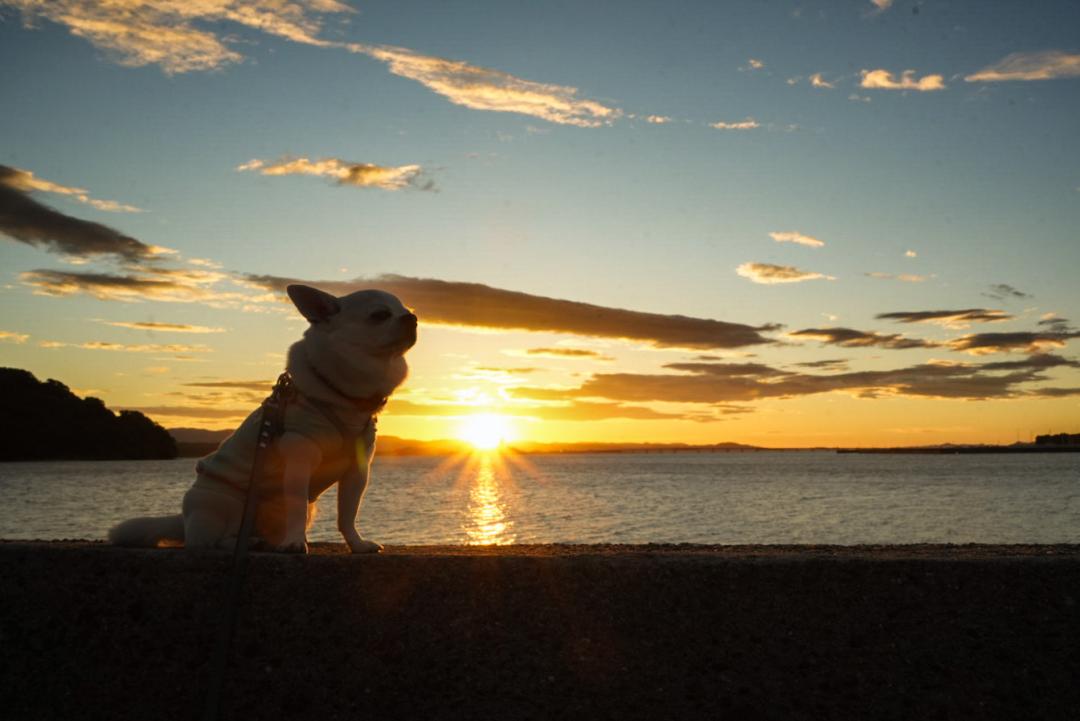夏の夕暮れ