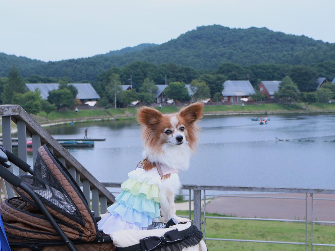 夏の旅2025