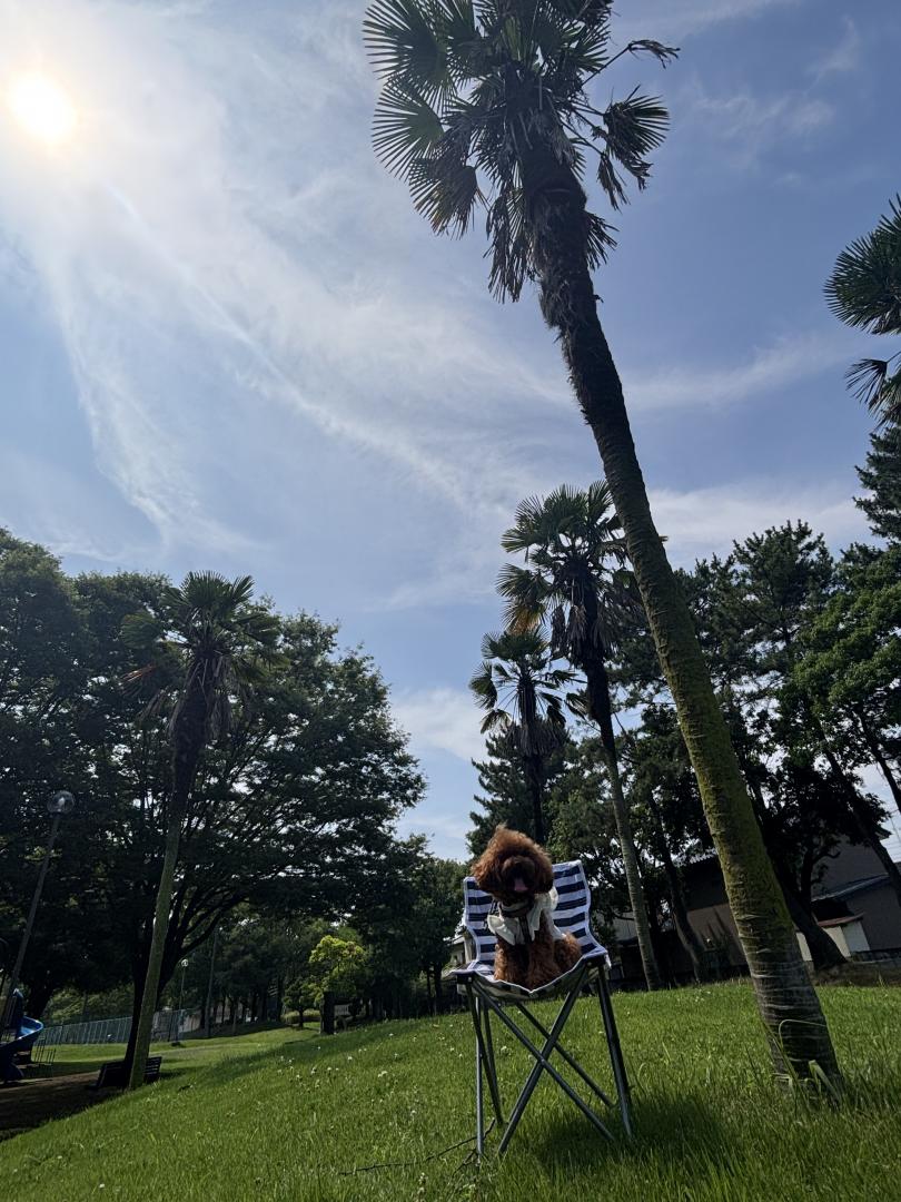 朝活☀️
