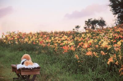 夏の夕暮れ