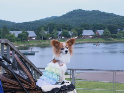 夏の旅2025