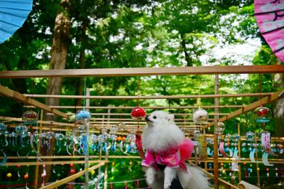 風鈴の香り