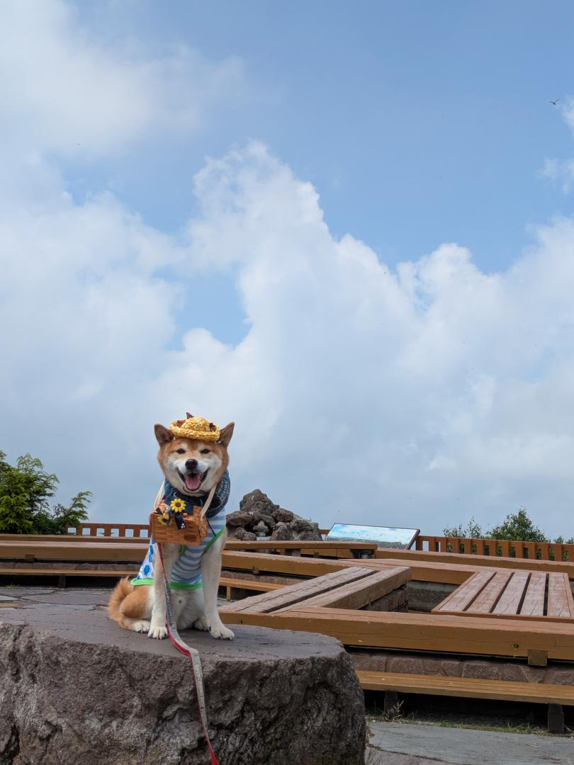 天空のテラス