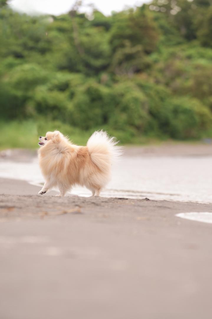 浜辺でルンルン♪