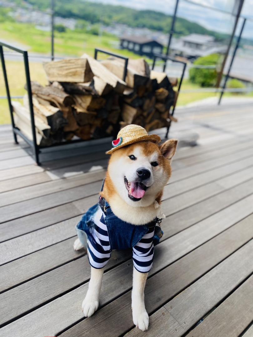 山の上