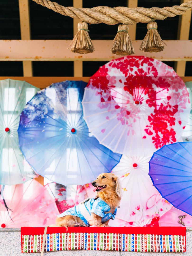 夏祭り