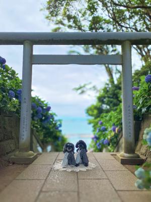 夏の静寂