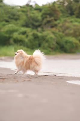 浜辺でルンルン♪