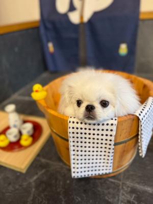 いい湯だな♩
