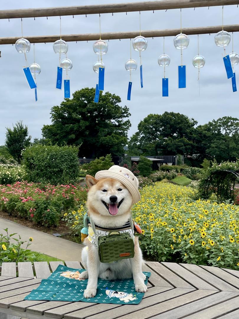 夏のお出かけスタイル
