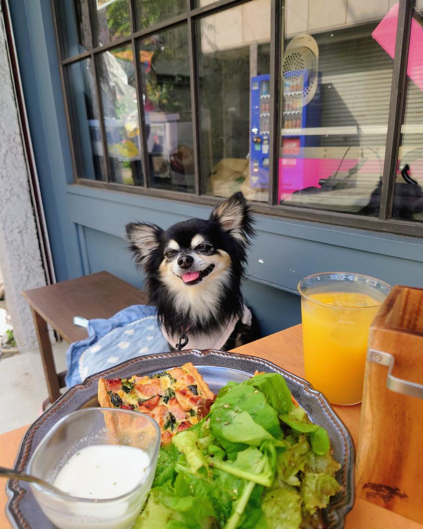 こんなに食べれないよ