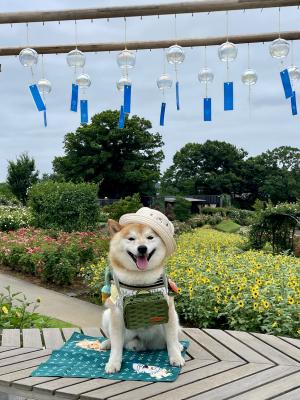 夏のお出かけスタイル