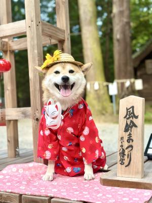 風鈴は？