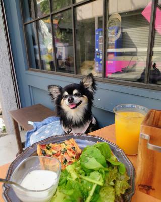 こんなに食べれないよ