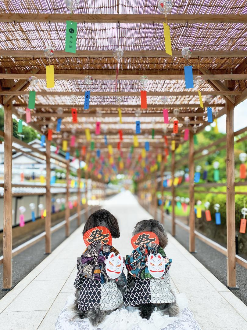 風鈴まつり
