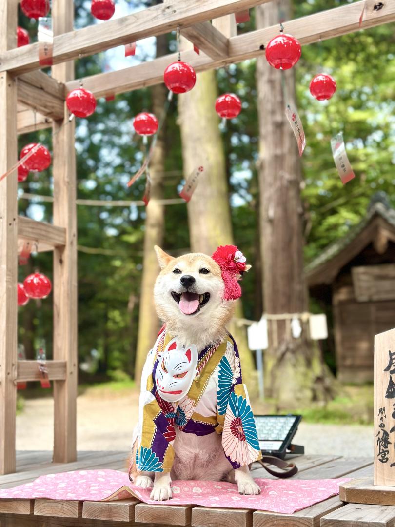 真っ赤な風鈴