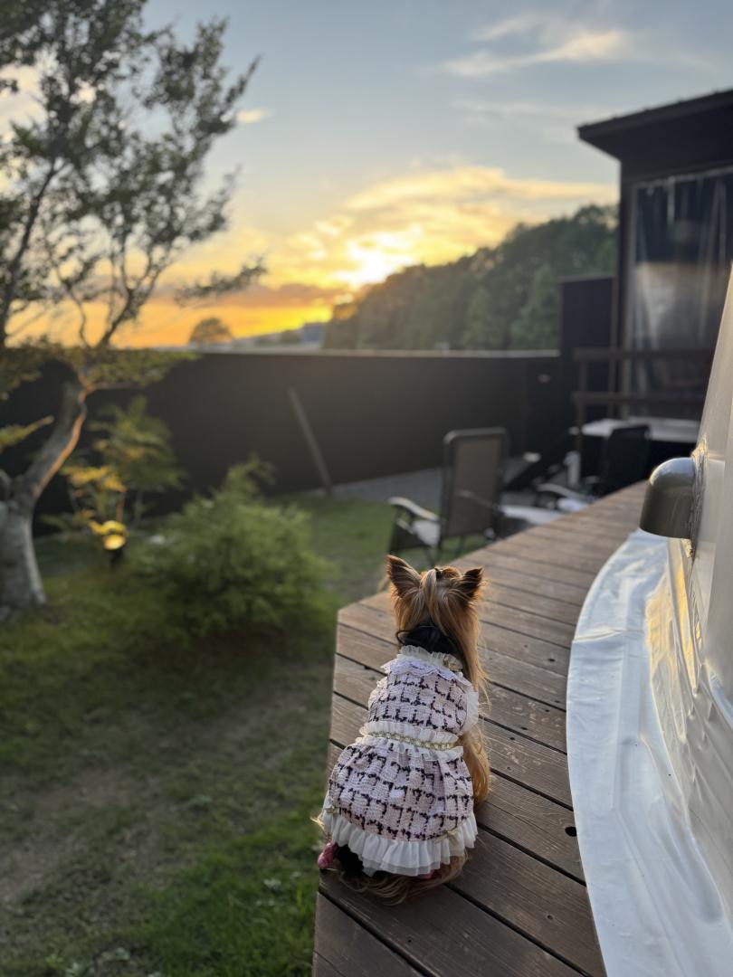 真夏の夕日