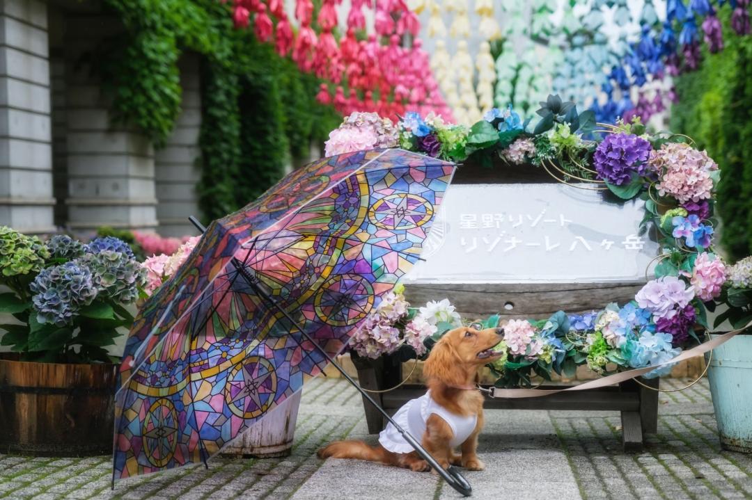 カラフルてるてる坊主