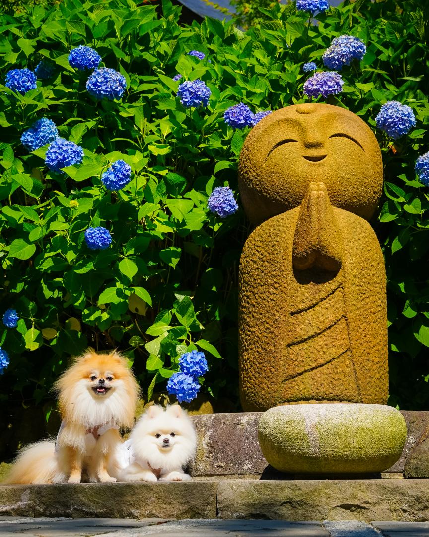 お地蔵さんとイチとコッペ
