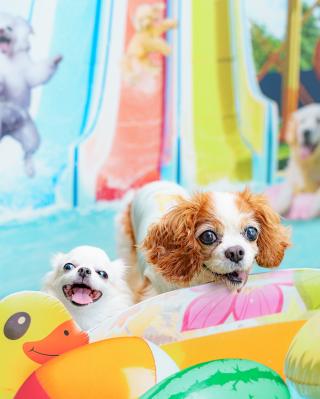めちゃ暑いからプール行って来たよ～