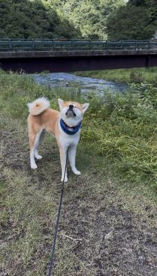 夏を感じて