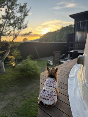 真夏の夕日