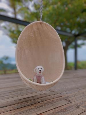 ブランコにのってみたよ