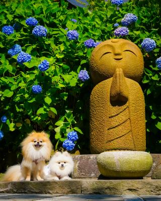 お地蔵さんとイチとコッペ