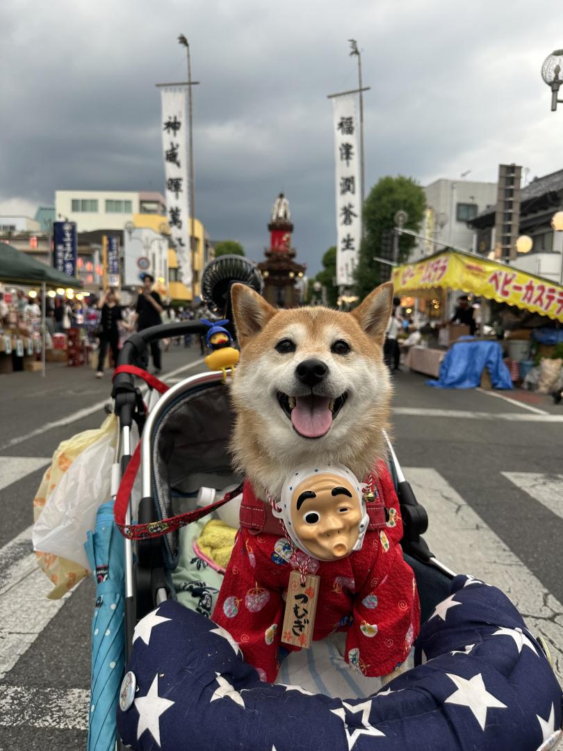 八木節祭り