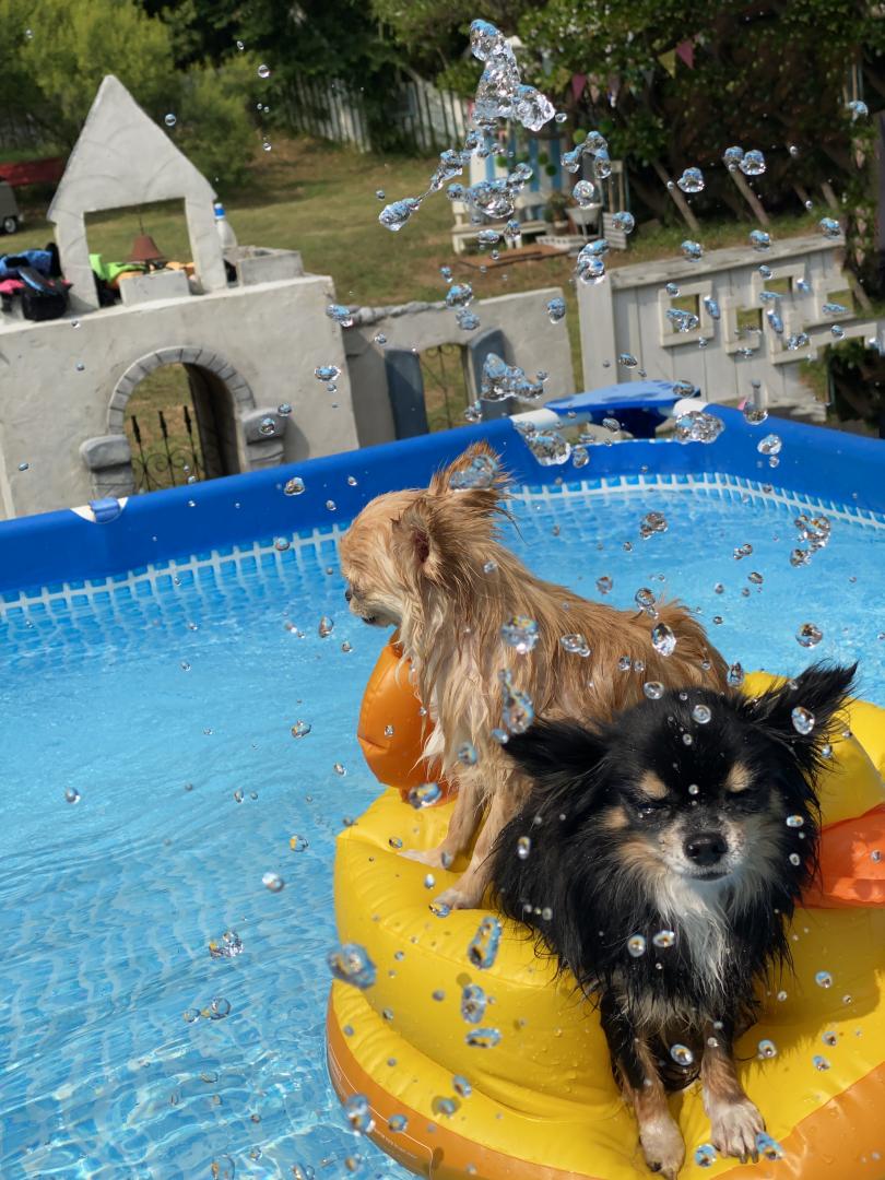 Hot summer splash