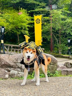 コタブナガ 岐阜城へ