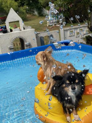 Hot summer splash