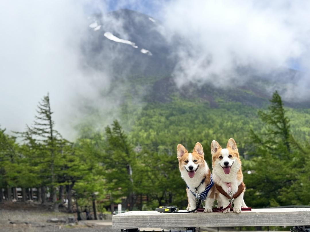 富士山へ