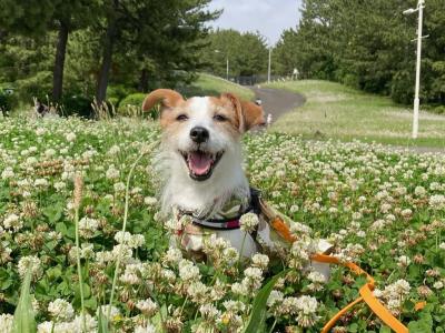 笑顔あふれる