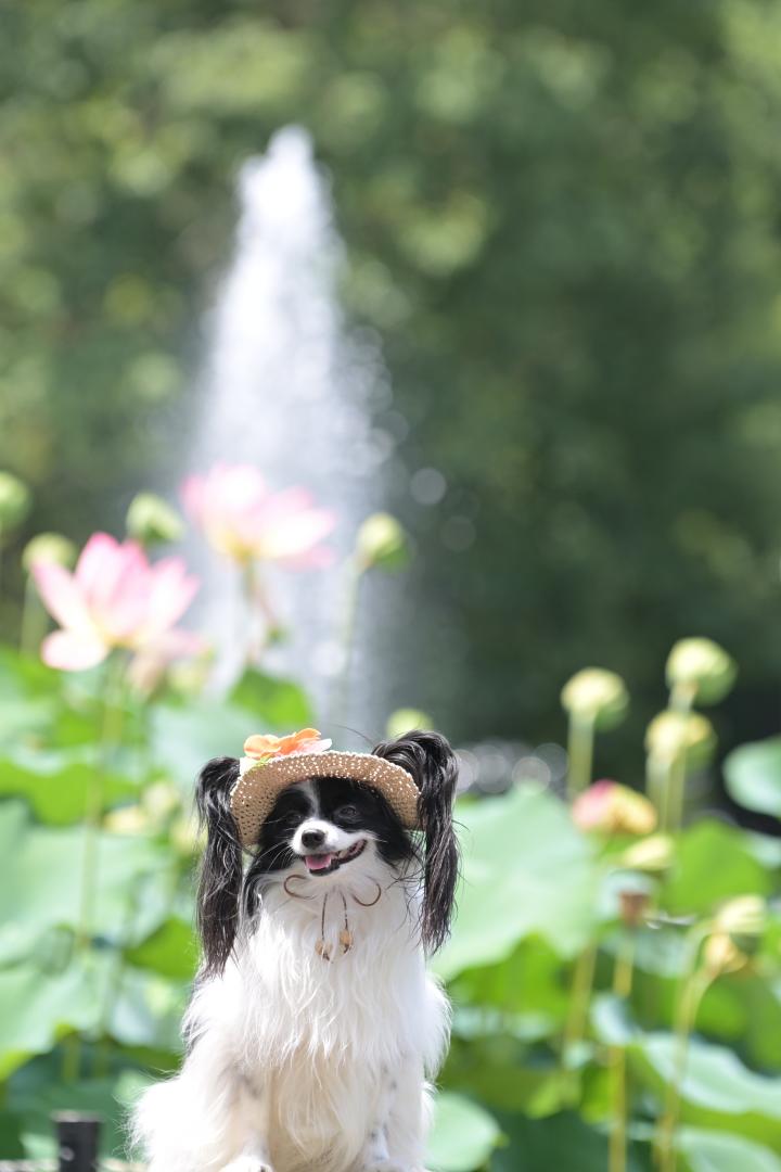 笑顔のトリプル