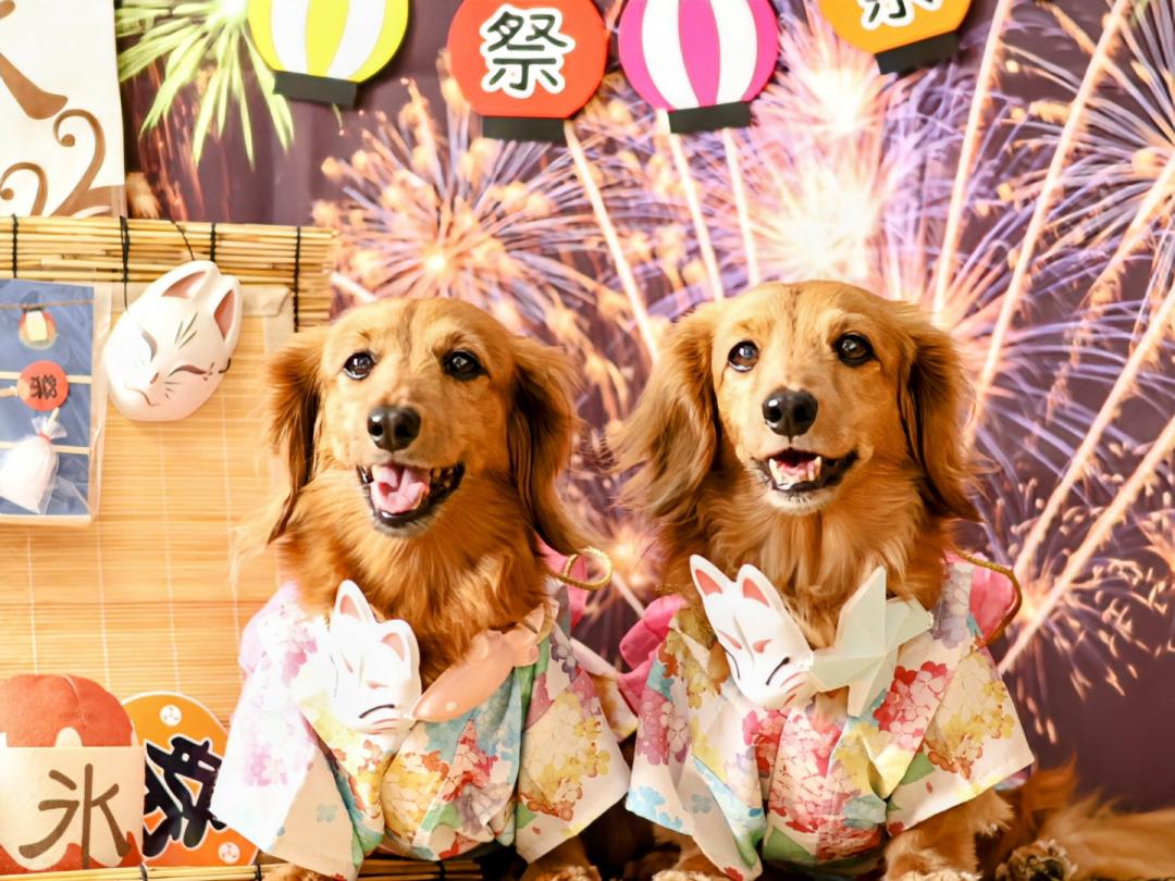 おうちで花火大会