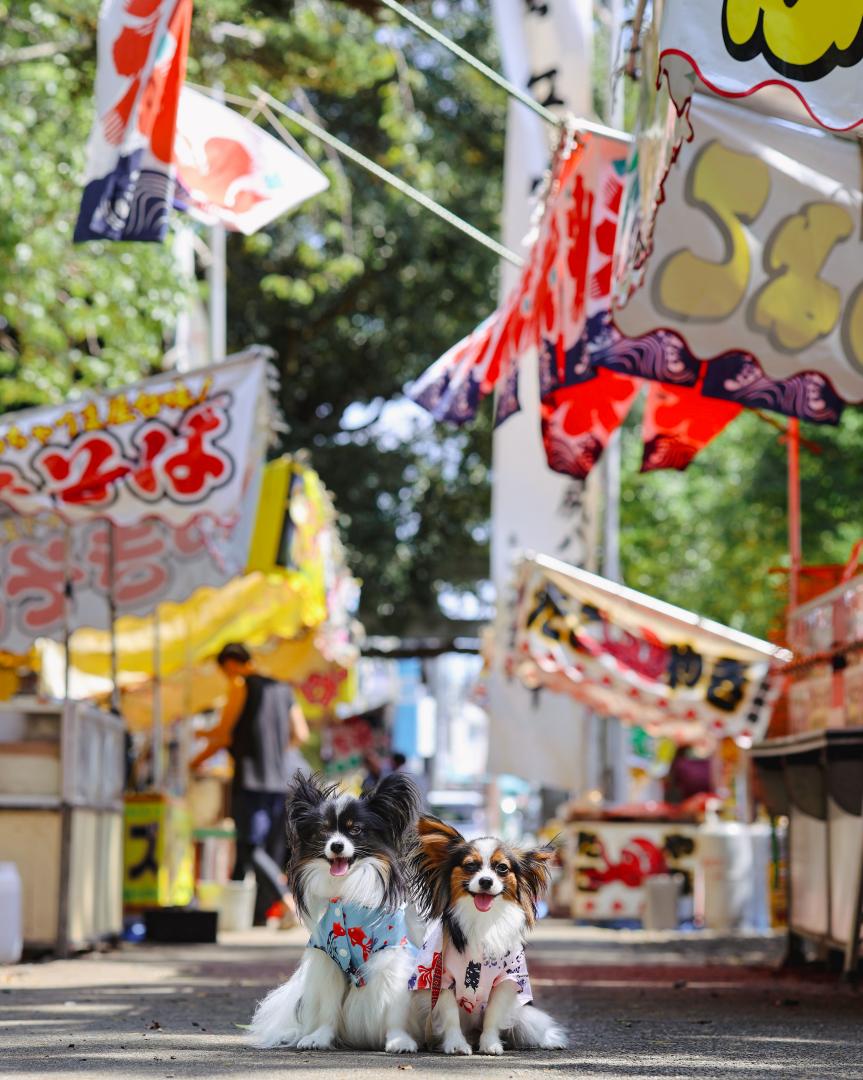 夏祭り