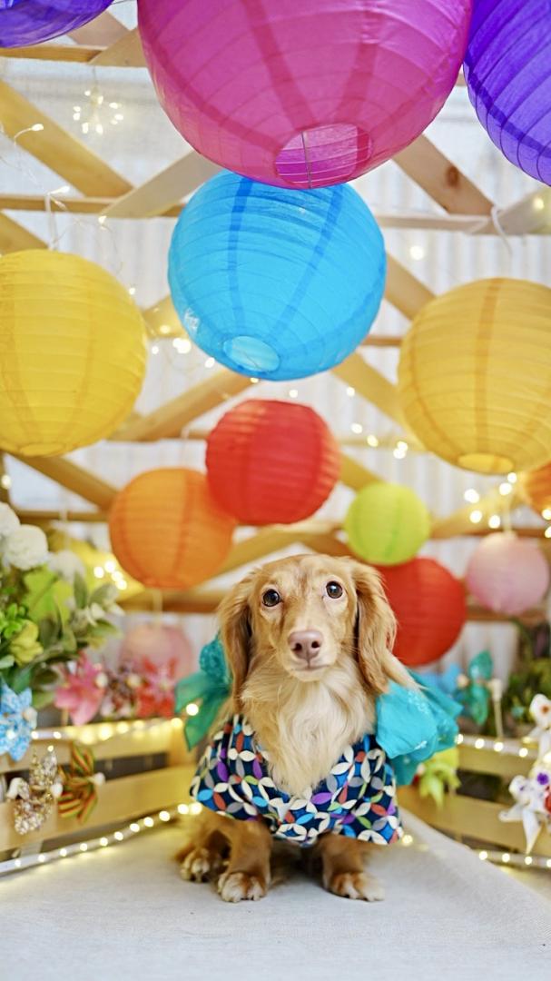 夏祭り