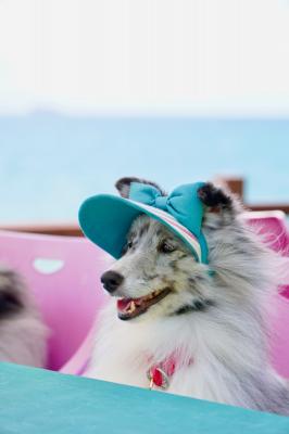 初夏の海風