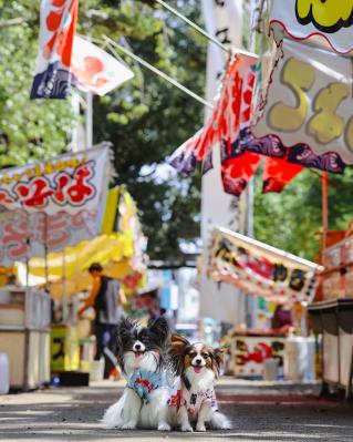 夏祭り