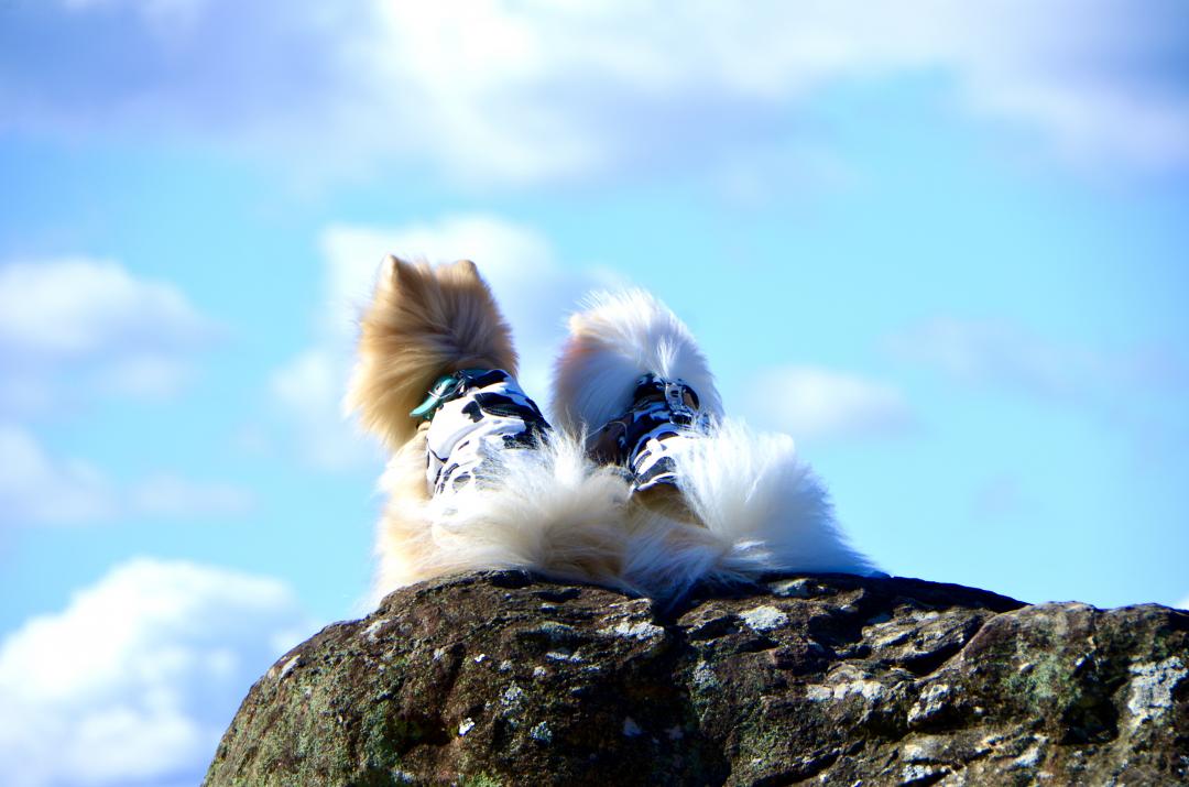 秋の空