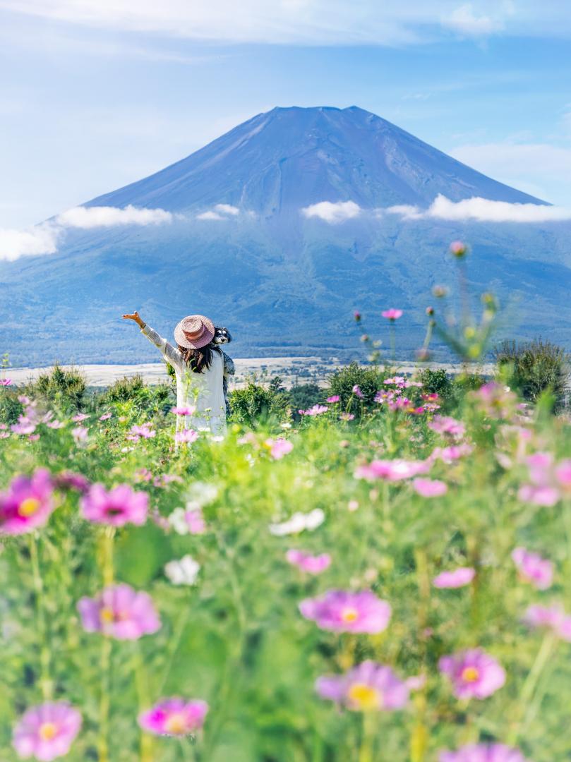 やっほー富士山
