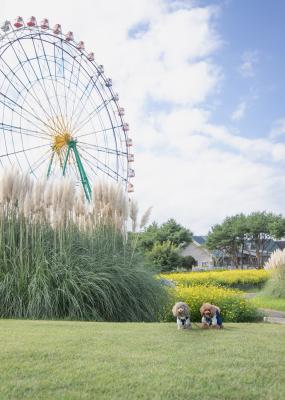 秋の風を感じながら