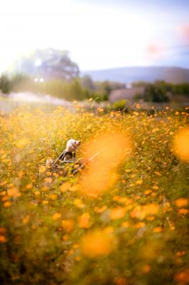 秋の香り満喫中