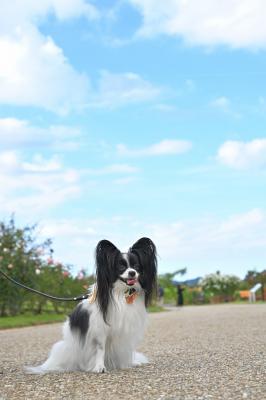 天高く…秋の空